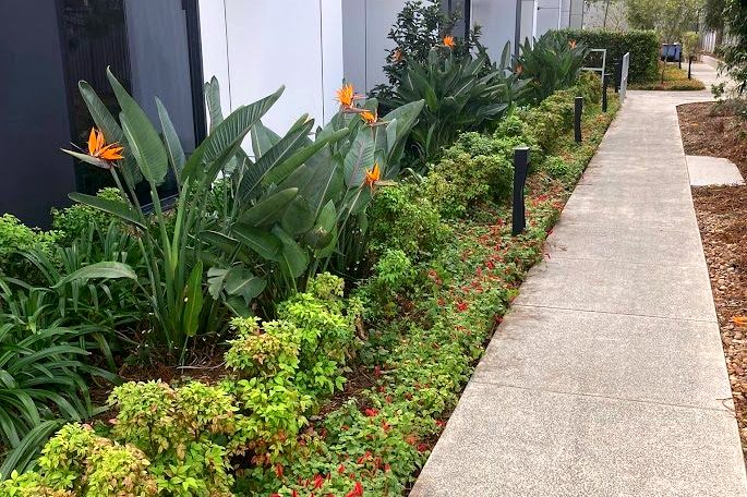 Flowering garden bed and footpath kept tidy on a routine maintenance run